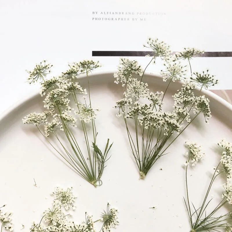 Craft Embellishment - 5-7cm/12個、枝付き雪の小さな花、ドライフラワーエンボスDIY携帯電話シェル、ネイルビューティーフォトフレーム、秋の装飾